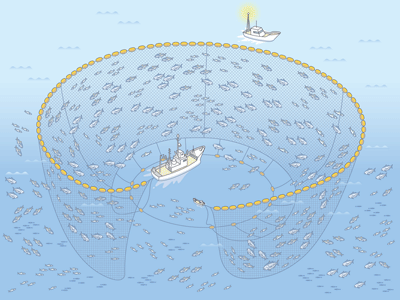 巻き網漁業